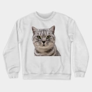 Silver Tabby Cat Crewneck Sweatshirt